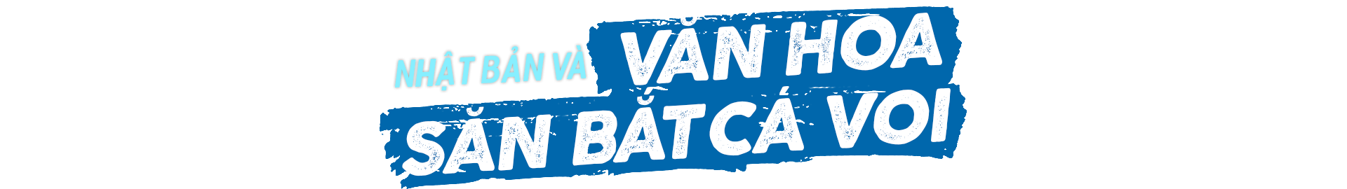 Nhật Bản và văn hóa săn bắt cá voi
